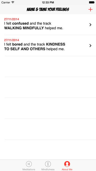 iPhone Screenshot 4