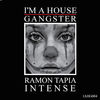 Intense - Single, <b>Ramon Tapia</b> - cover100x100