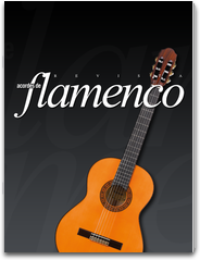 Flamenco