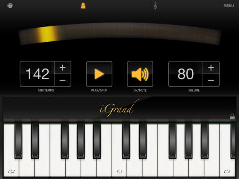 iPad Screenshot 4