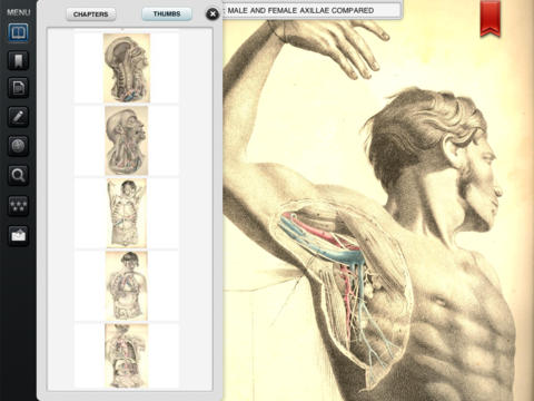 iPad Screenshot 3