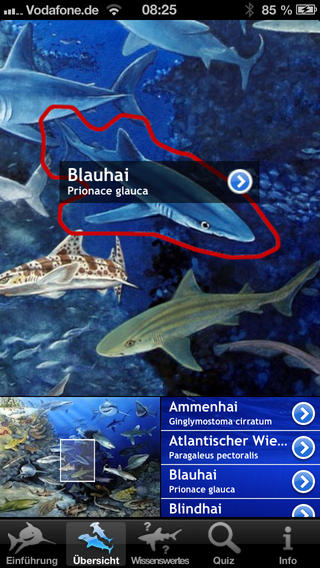 iPhone Screenshot 2