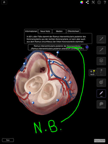 iPad Screenshot 4