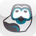 Coquo - Das Quiz mobile app icon