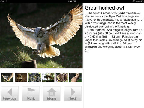 iPad Screenshot 2