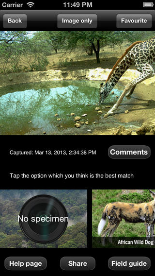 iPhone Screenshot 3