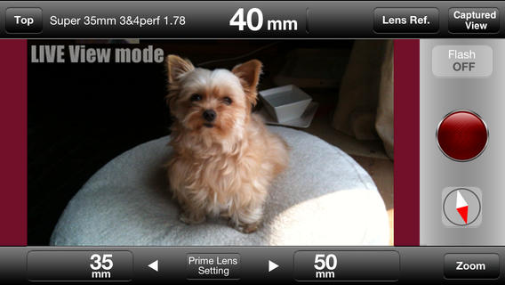 iPhone Screenshot 1