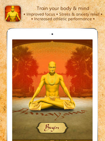iPad Screenshot 1