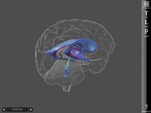 3d brain app science netlinks