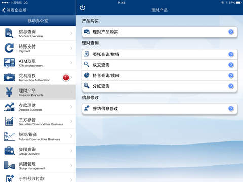 iPad Screenshot 4
