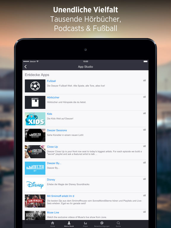 iPad Screenshot 3