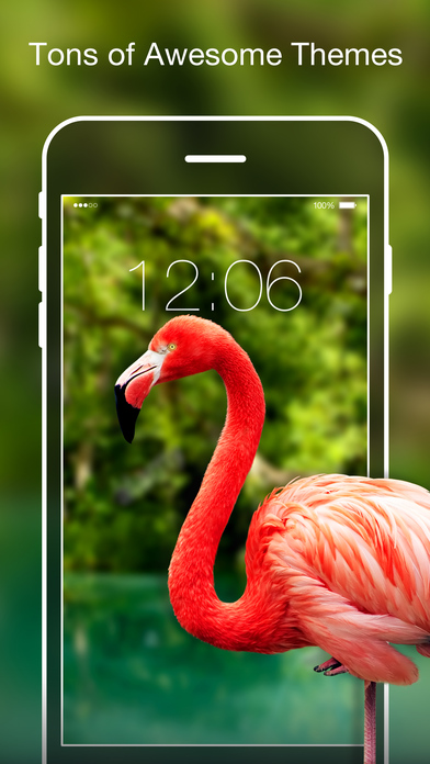 iPhone Screenshot 3