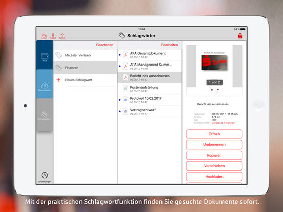 iPad Screenshot 4