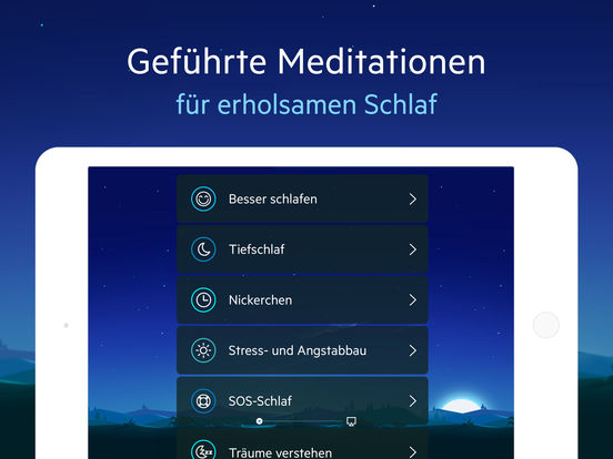 iPad Screenshot 3