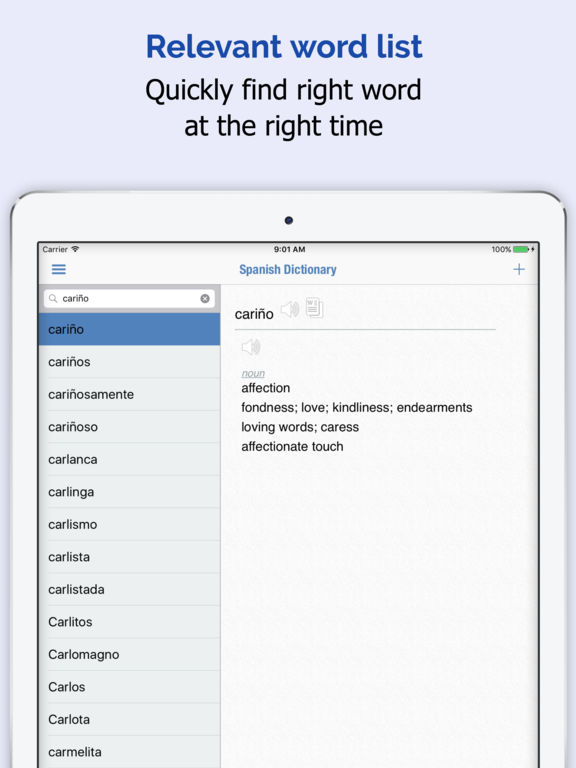 iPad Screenshot 2