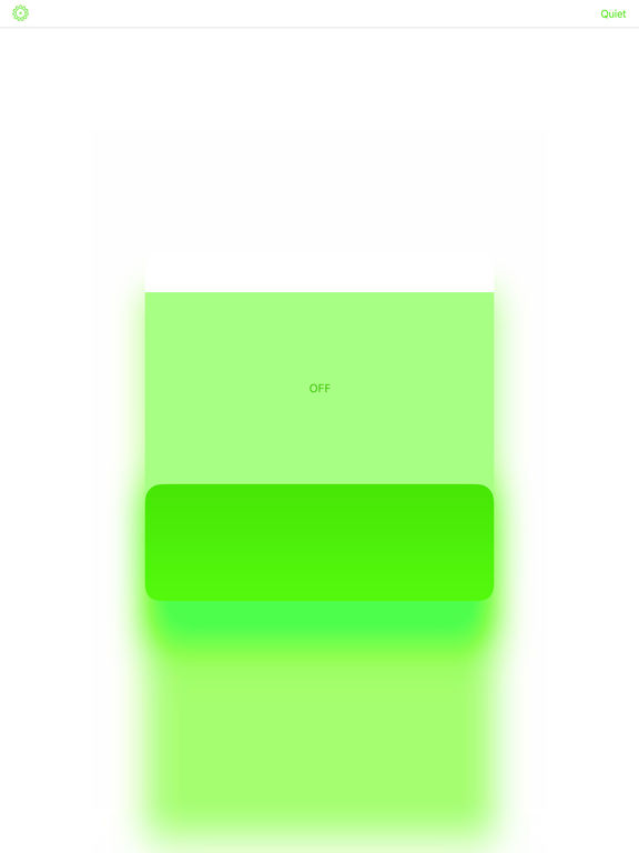 iPad Screenshot 5