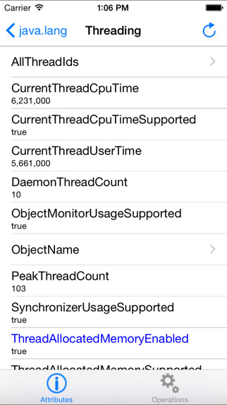 iPhone Screenshot 2