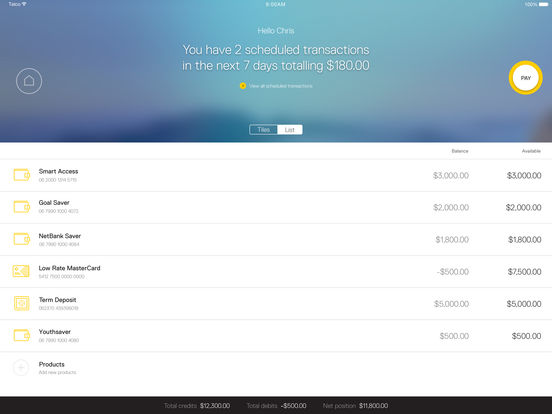 iPad Screenshot 1