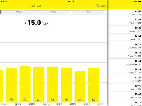 iPad Screenshot 2