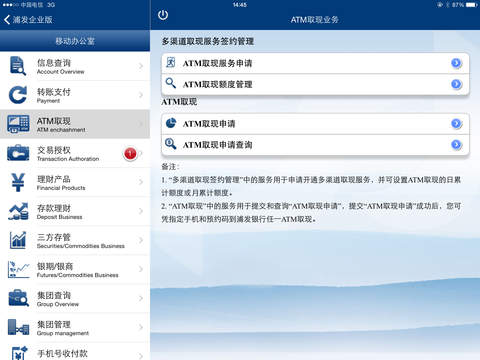 iPad Screenshot 3