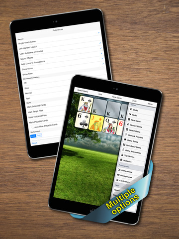 iPad Screenshot 4