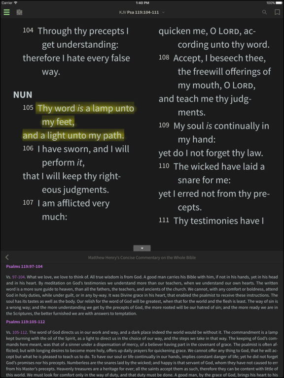 iPad Screenshot 3
