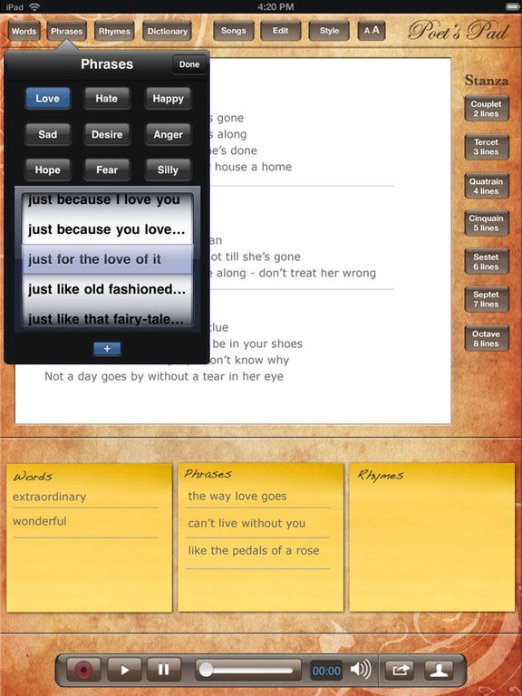 iPad Screenshot 2