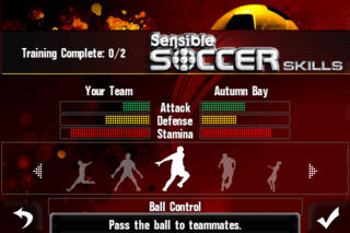Sensible Soccer Skills screenshot1