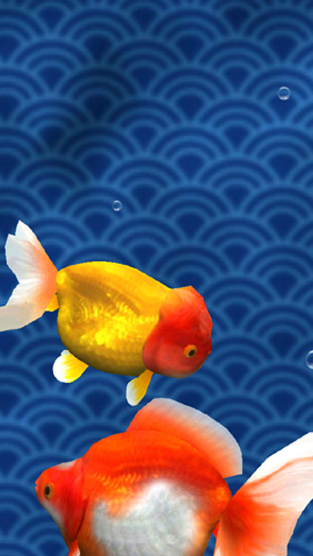 GoldFish 3Dのおすすめ画像4