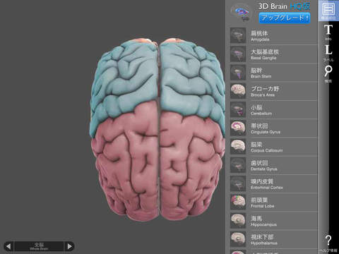 ipad 3d brain app autonomy