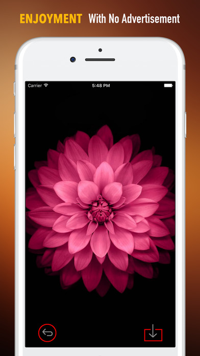黒とピンクの壁紙hd 引用の背景 Iphoneアプリ Applion