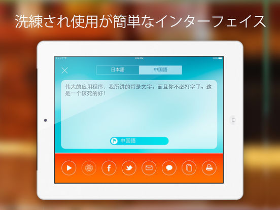 iPad スクリーンショット 4