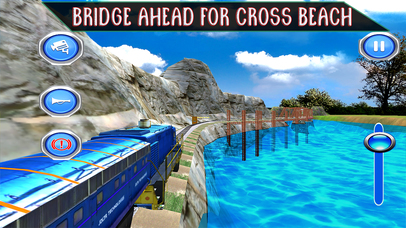 Amazing Train Pro Sim... screenshot1