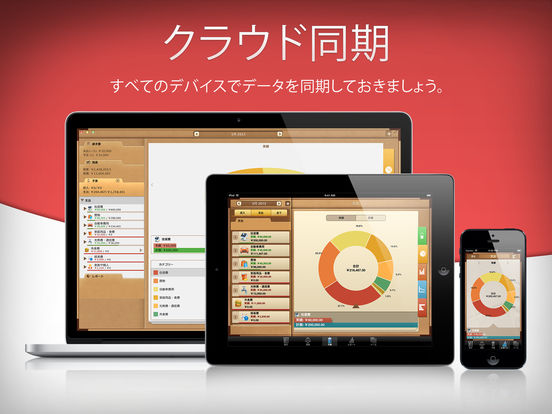 Money for iPad freeでマネー管理のおすすめ画像5