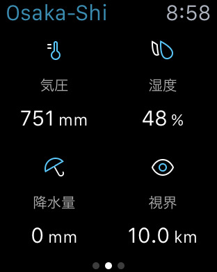 iPhone スクリーンショット 4