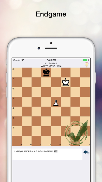 Chess Tricks. Endgame screenshot1