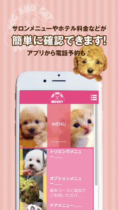 iPhone Screenshot 3
