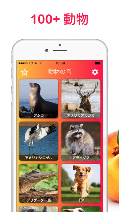 17 動物の音 動物園 農場 野生動物 Catchapp Iphoneアプリ Ipadアプリ検索