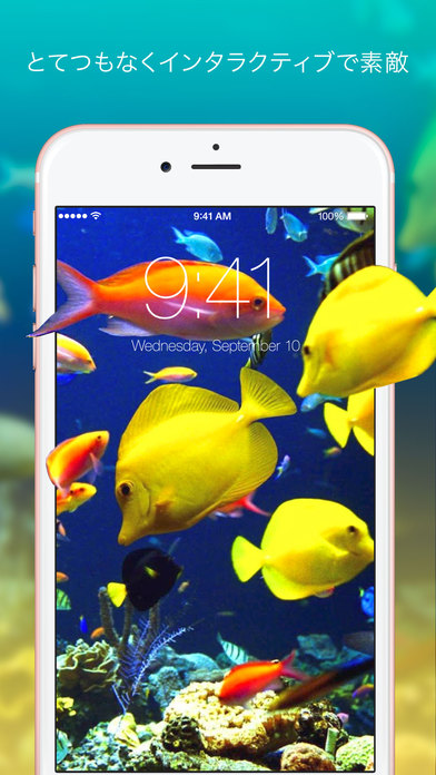 リアルな壁紙 背景写真が動くクールでダイナミックなテーマがcustom Screensから登場 Iphone 6sとiphone 6s Plusに対応 Iphone最新人気アプリランキング Ios App