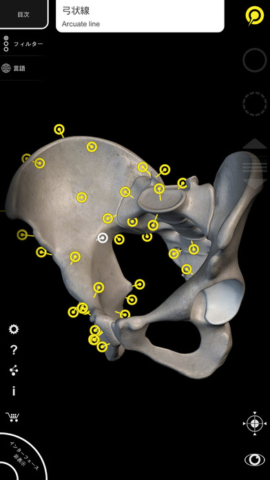 筋肉系 - 解剖学3Dアトラス - 人体の骨格と筋肉 - 3D Atlas of Anatomyのおすすめ画像3