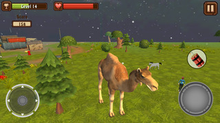 Camel Simulator Pro screenshot1