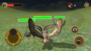Horned Owl Simulator screenshot1