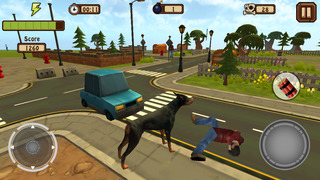 Doggy Dog World Pro screenshot1