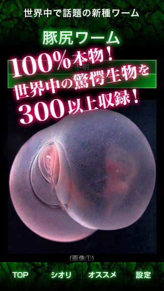 【閲覧注意】実在する謎の生物300以上！都市伝説なし！のおすすめ画像3