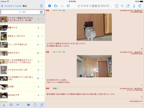 iPad スクリーンショット 1