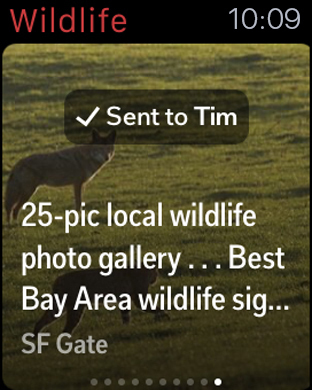 iPhone Screenshot 5