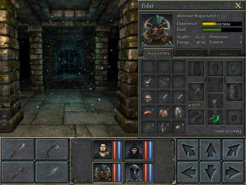 Legend of Grimrock iOS