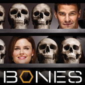 Bones, Season 4 artwork