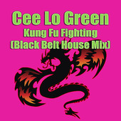 Kung Fu Fighting (Black Belt House Mix) - Single, Cee Lo Green