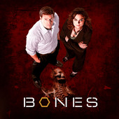 Bones, Season 2 artwork